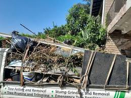 Best Residential Junk Removal  in Le Roy, IL