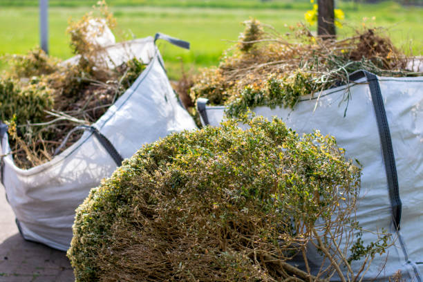 Best Dumpster Rental Services  in Le Roy, IL