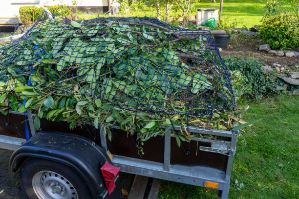Best Moving and Downsizing Cleanouts  in Le Roy, IL